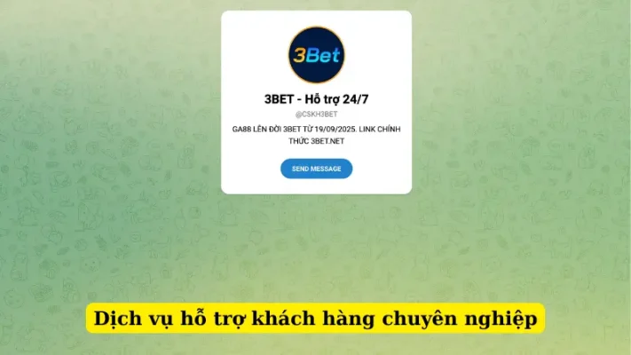 Dịch vụ hỗ trợ khách hàng chuyên nghiệp